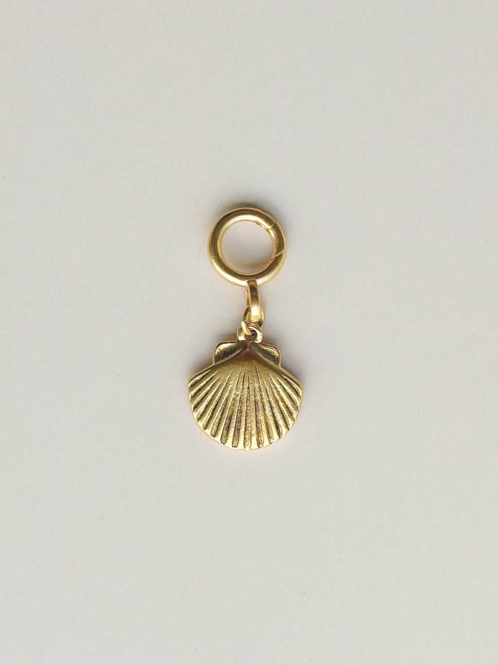 Shell Charm