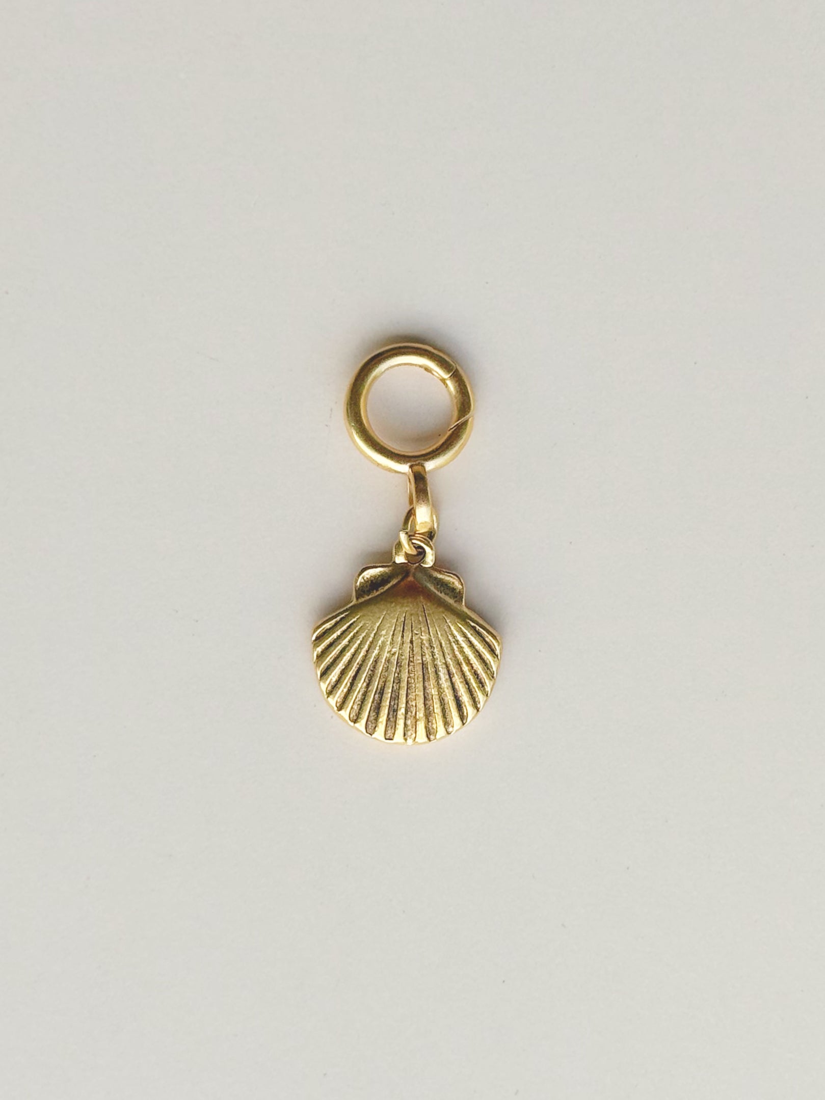 Shell Charm